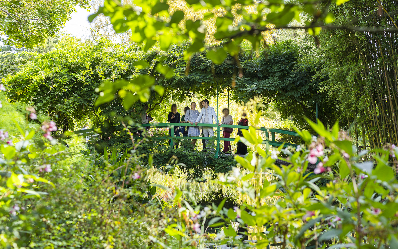From Paris: Full-Day Monet's House & Gardens Audio Guided Tour tickets in Paris - Activities | TickYourList