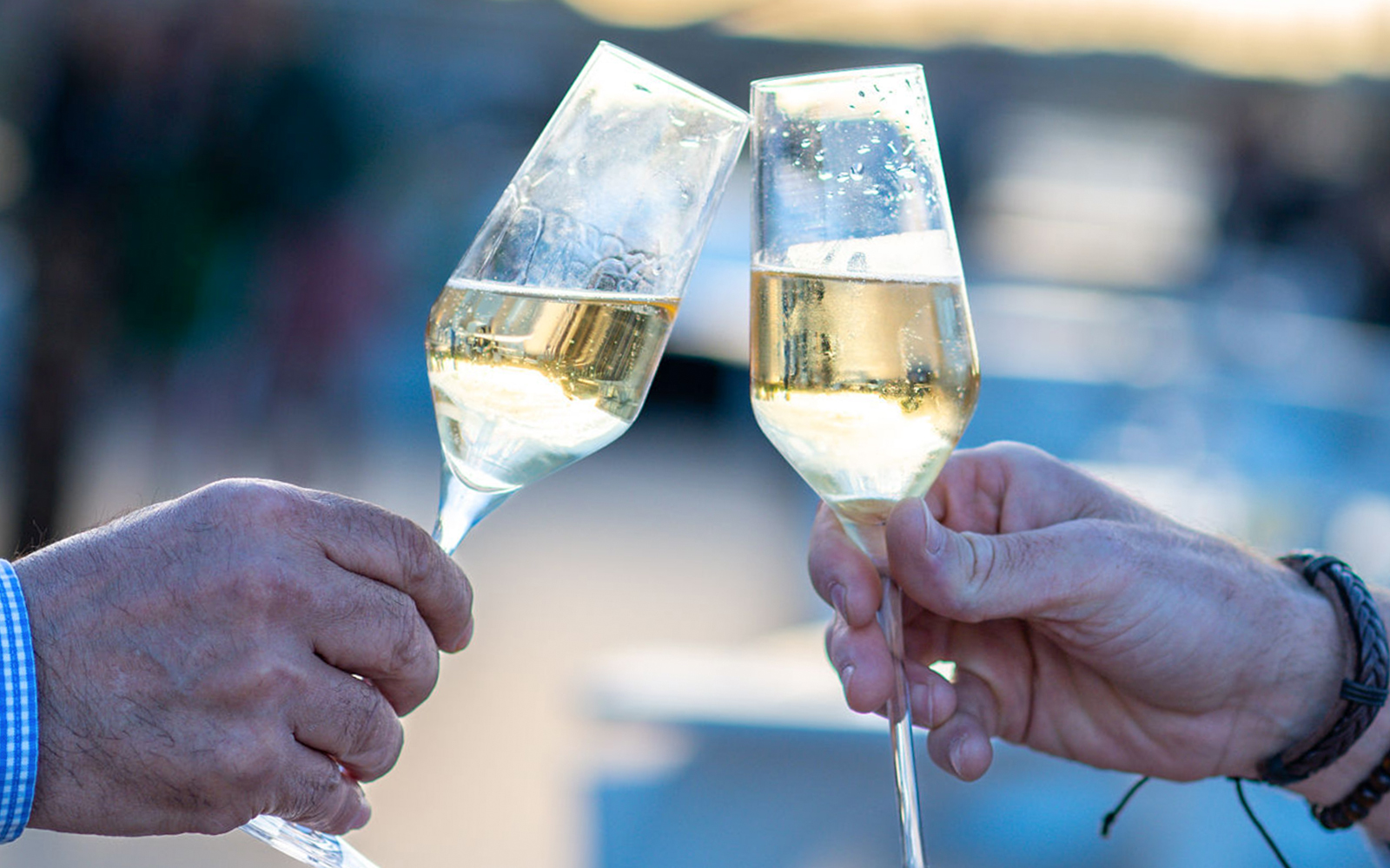 Le Diamant Bleu Seine River Dinner Cruise with French Premium Menu tickets in Paris - Highlights | TickYourList