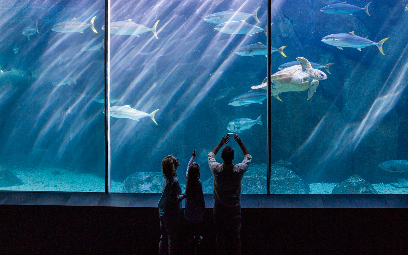 Aquarium de Paris Priority Access Tickets in Paris - Attractions | TickYourList