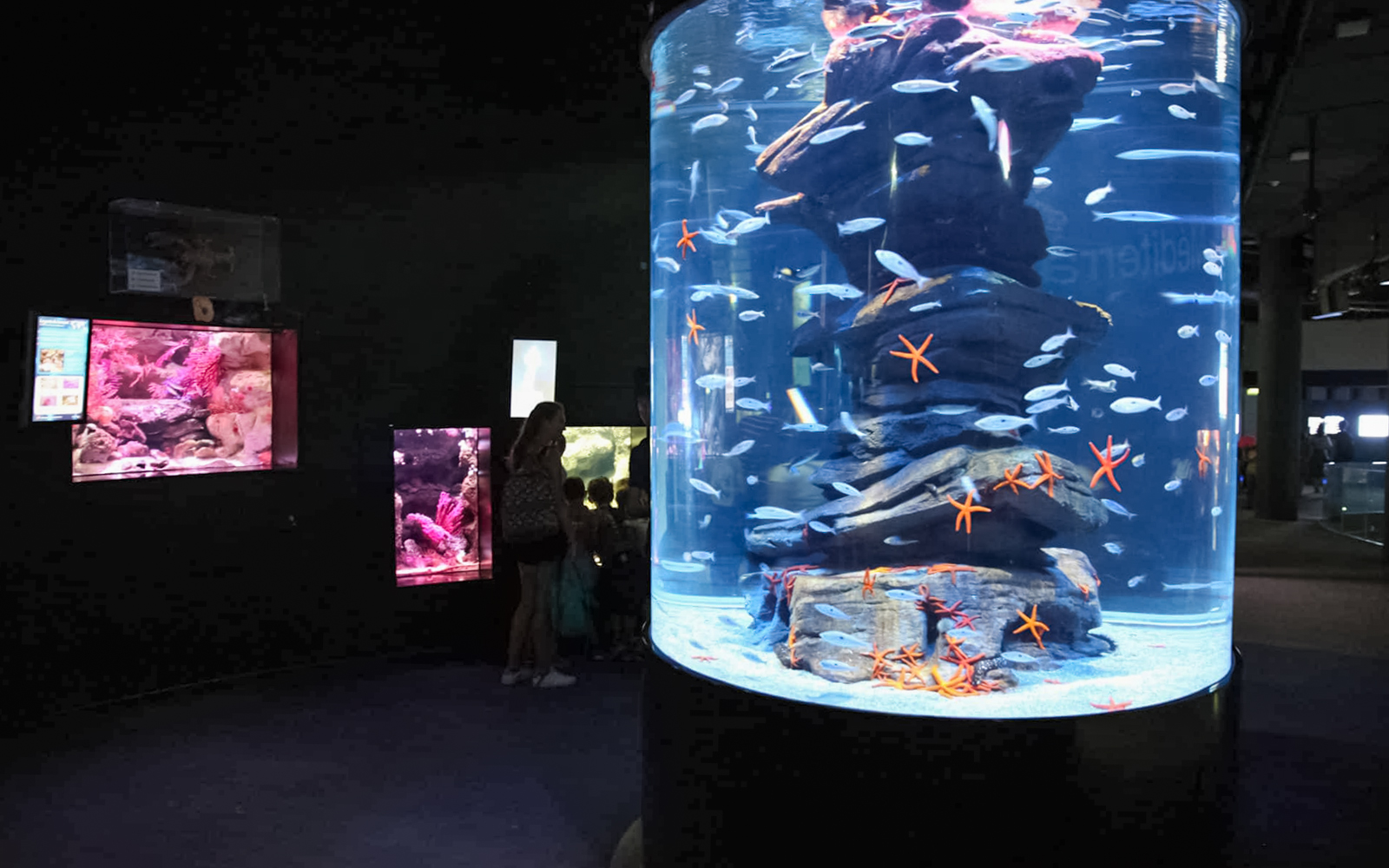 Aquarium de Paris Priority Access Tickets in Paris - Activities | TickYourList