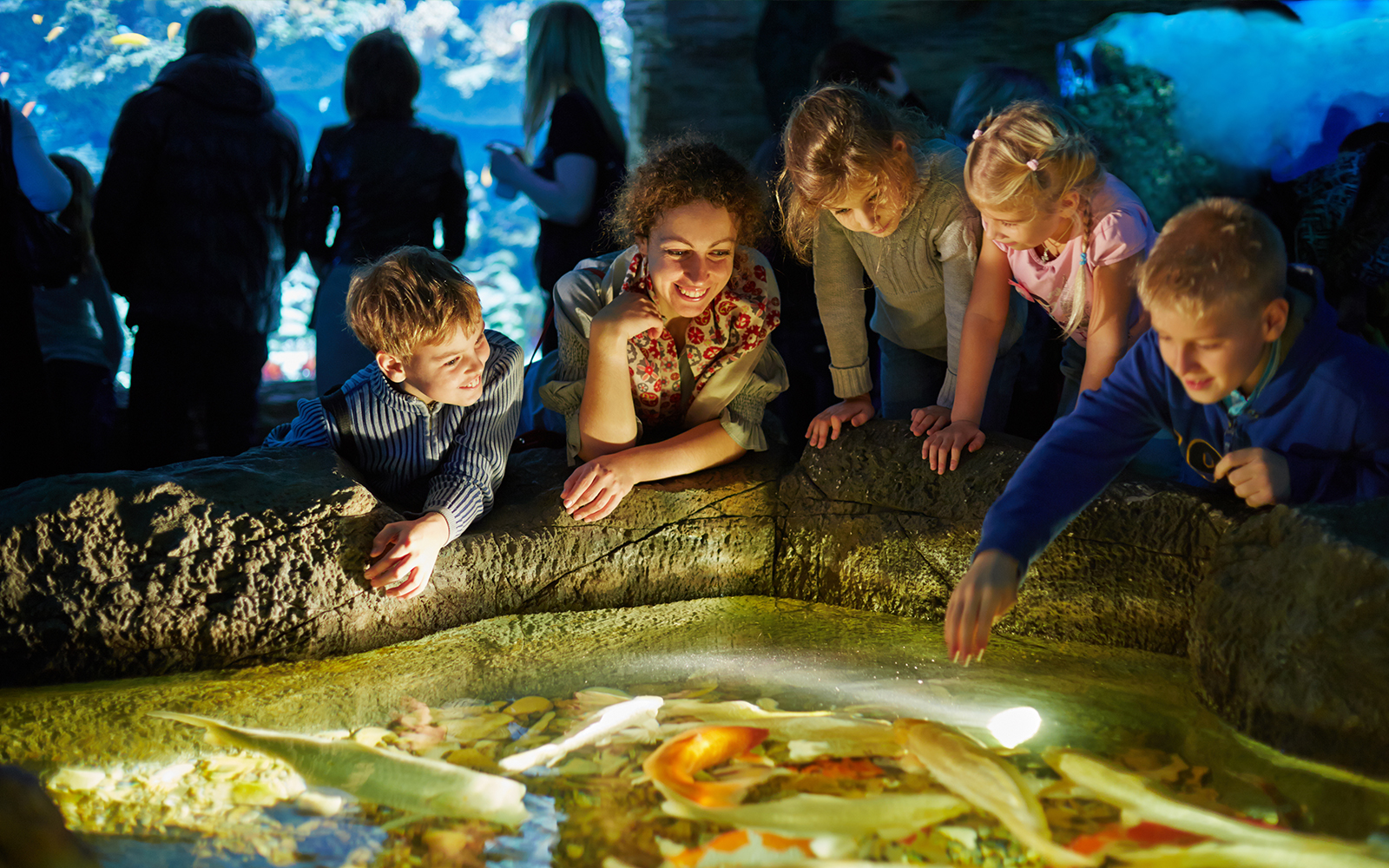 Aquarium de Paris Priority Access Tickets in Paris - Highlights | TickYourList