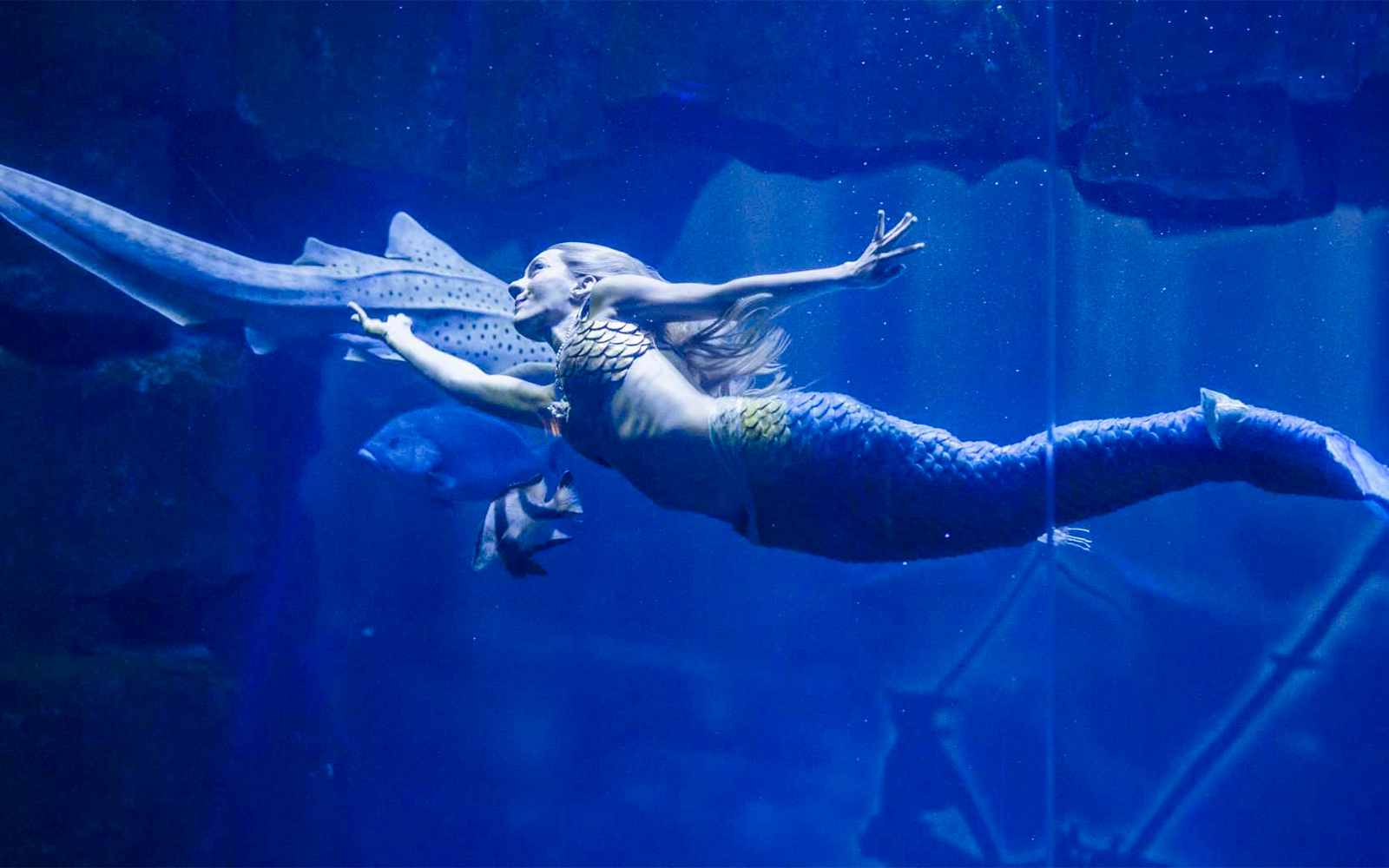 Aquarium de Paris Priority Access Tickets in Paris - Features | TickYourList