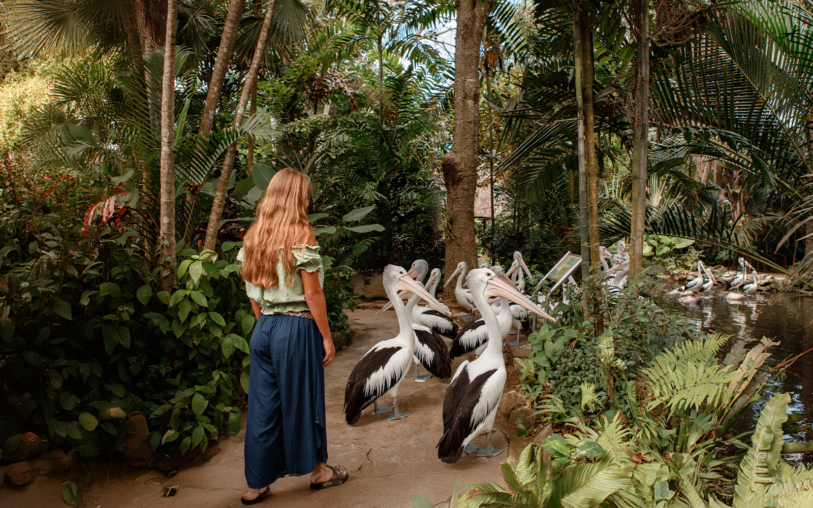 Bali Bird Park Tickets with Hotel Transfers in Bali - Highlights | TickYourList