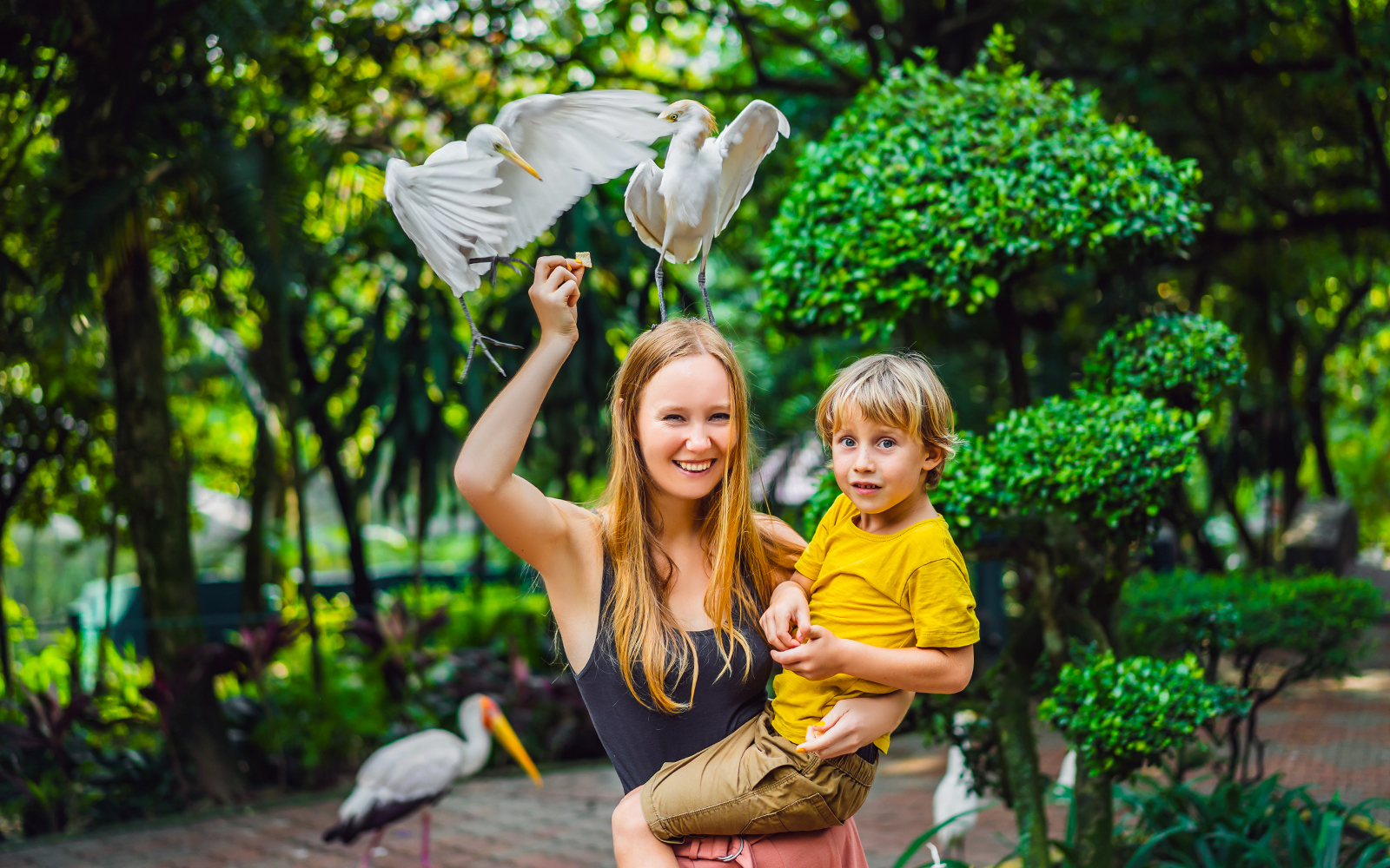 Bali Bird Park Tickets with Hotel Transfers in Bali - Features | TickYourList