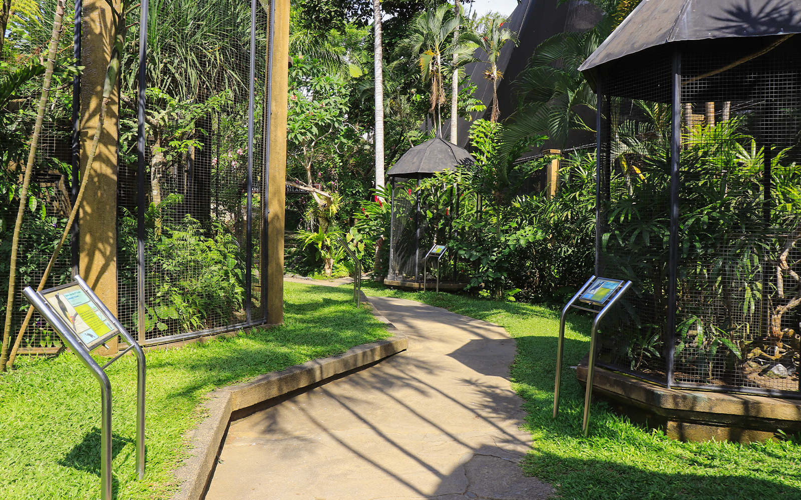 Bali Bird Park Tickets + Optional Lunch with Bird Stars in Bali - Activities | TickYourList