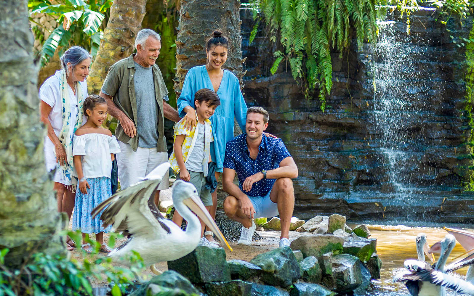 Bali Bird Park Tickets with Lunch at Crispy Duck & Hotel Transfers in Bali - Attractions | TickYourList