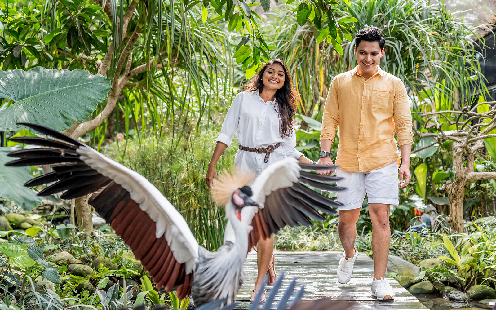 Bali Bird Park Tickets with Tea Time & Hotel Transfers in Bali - Attractions | TickYourList