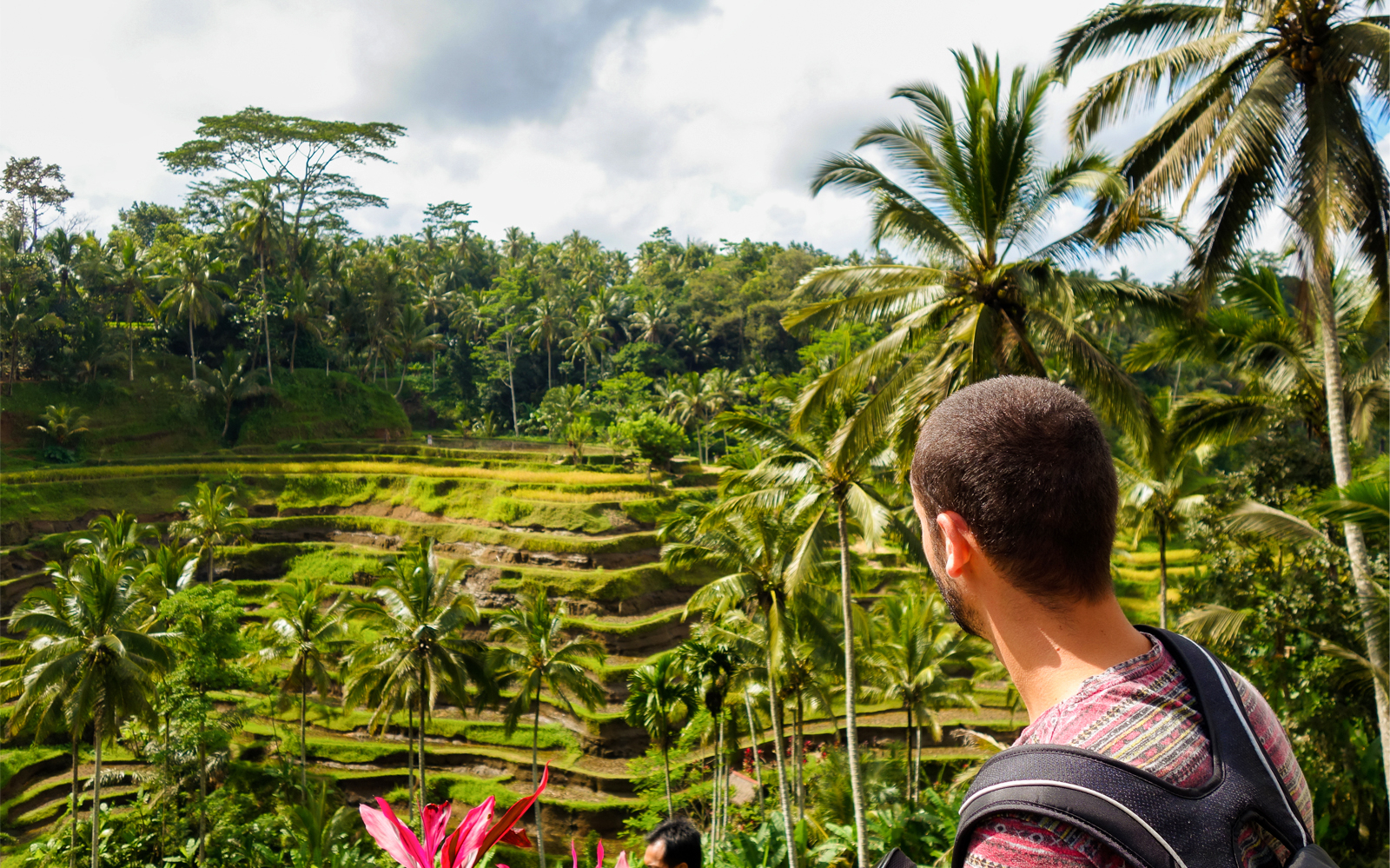 Kintamani Small Group Tour: Tegalalang Rice Terraces, Goa Gajah Temple and more tickets in Bali - Attractions | TickYourList