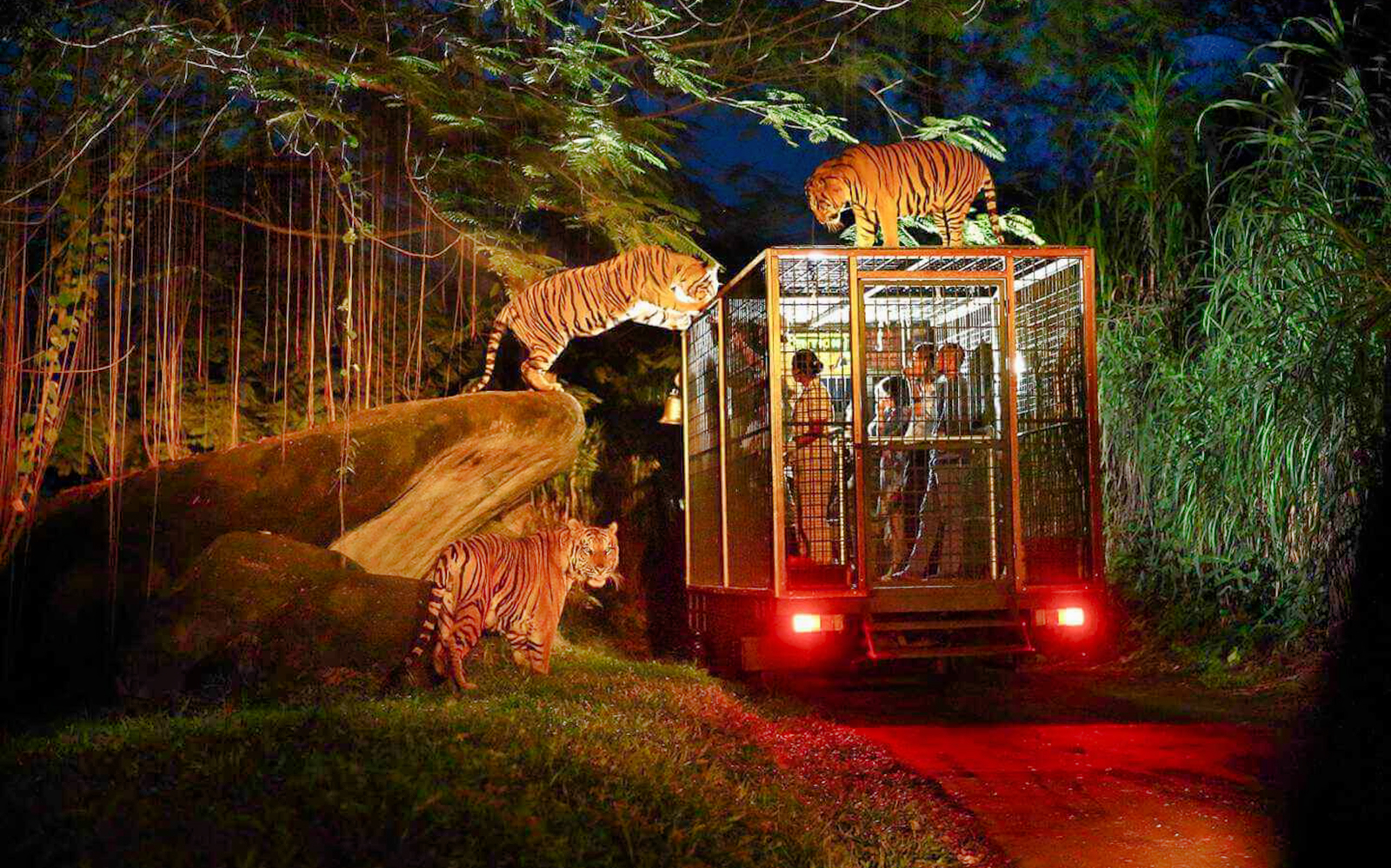 Bali Safari Tickets in Bali - Highlights | TickYourList