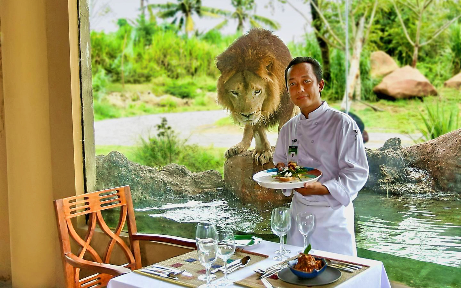 Breakfast with Lions: Bali Safari and Marine Park tickets in Bali - Attractions | TickYourList