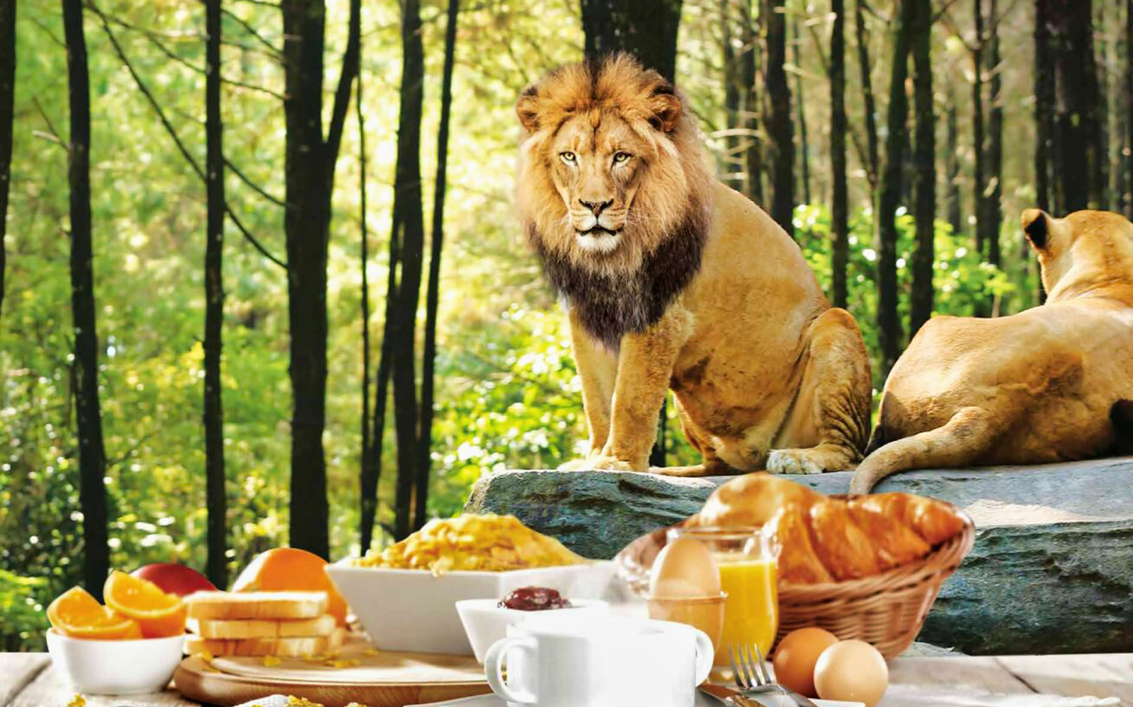 Breakfast with Lions: Bali Safari and Marine Park tickets in Bali - Activities | TickYourList