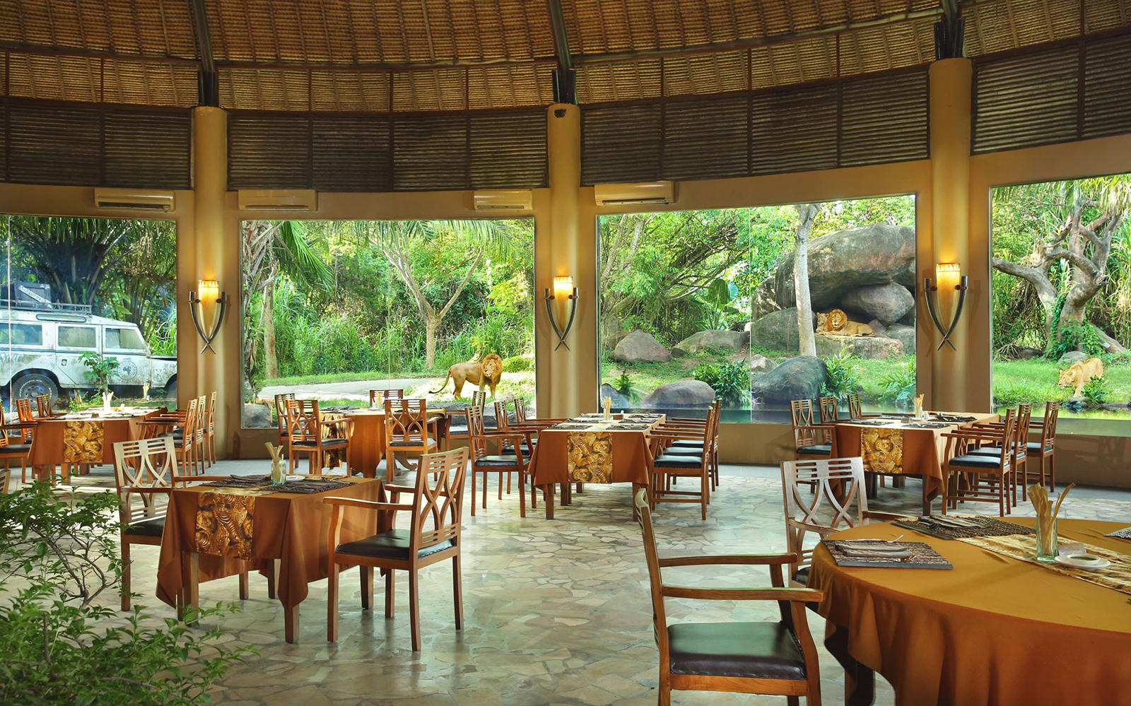 Breakfast with Lions: Bali Safari and Marine Park tickets in Bali - Discover | TickYourList