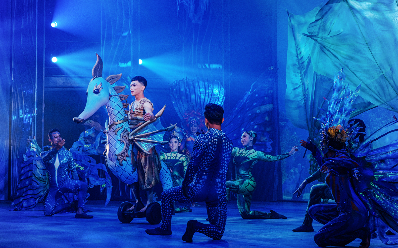 Varuna Underwater Show Tickets in Bali - Attractions | TickYourList