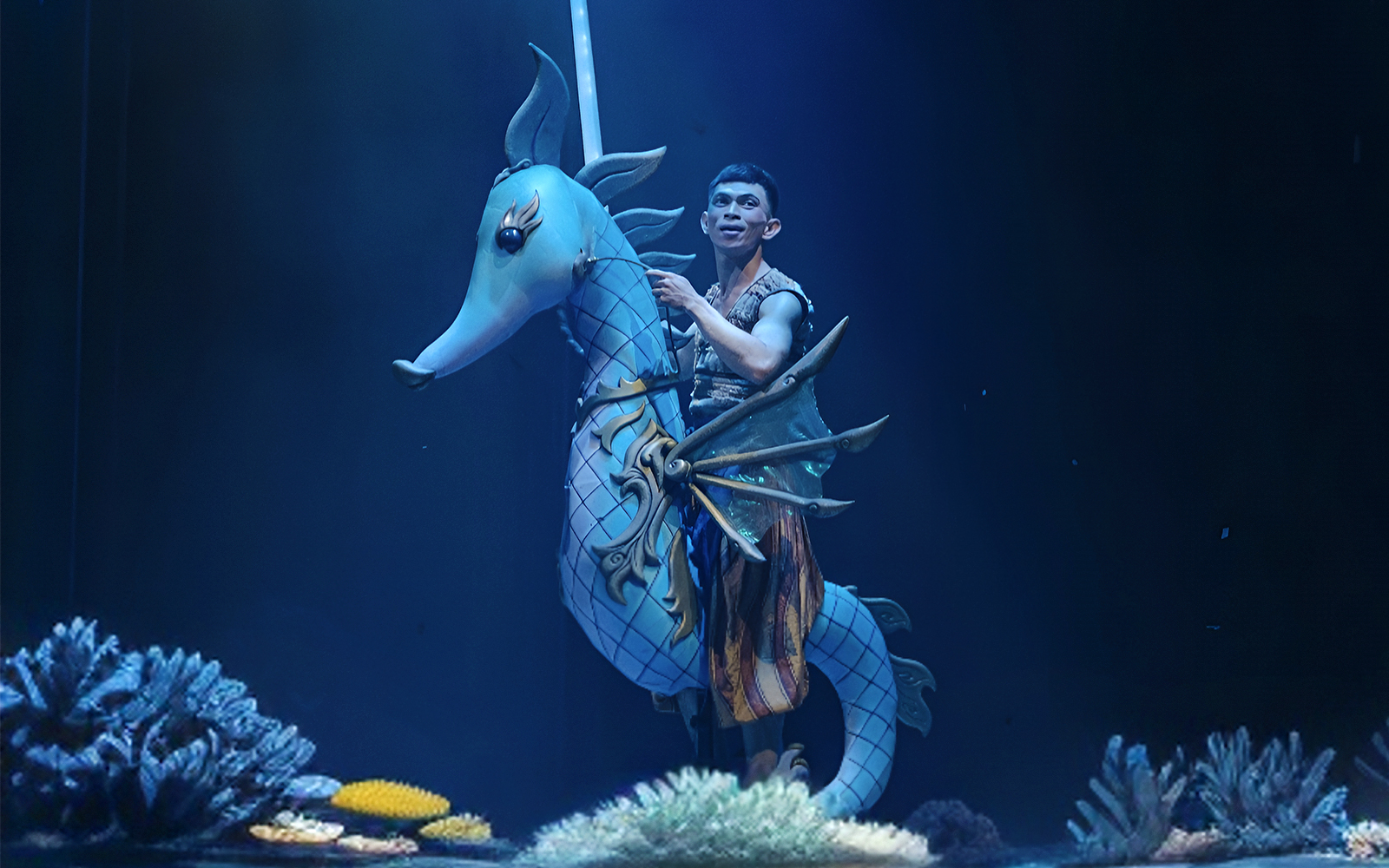 Varuna Underwater Show Tickets in Bali - Features | TickYourList