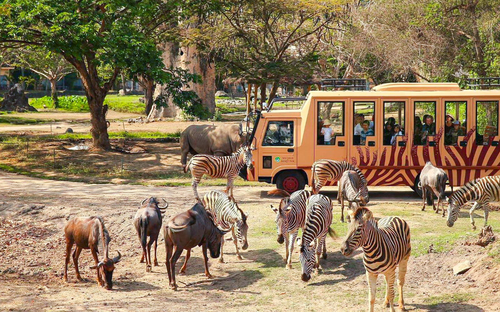 Jungle Hopper Safari Tickets in Bali - Attractions | TickYourList