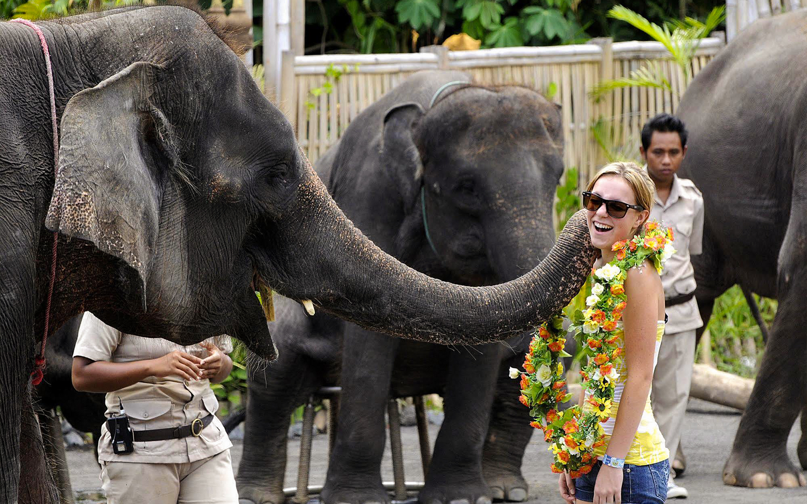 Jungle Hopper Safari Tickets in Bali - Highlights | TickYourList