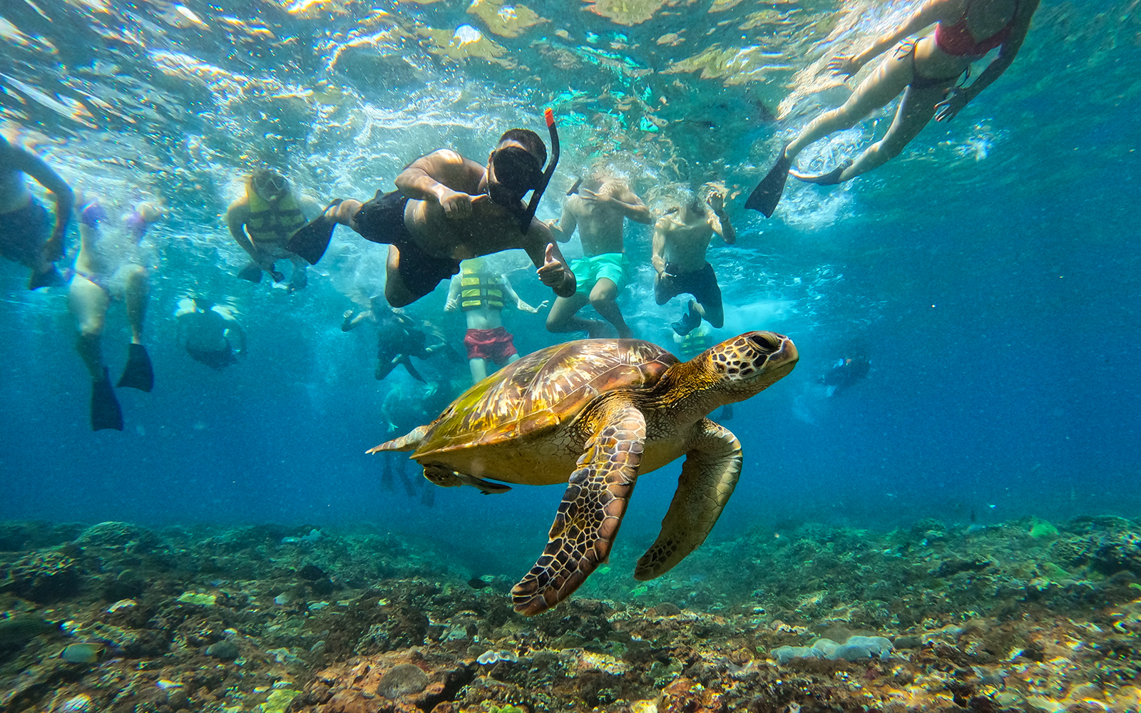 Nusa Lembongan & Manta Bay Snorkeling Day Tour tickets in Bali - Highlights | TickYourList