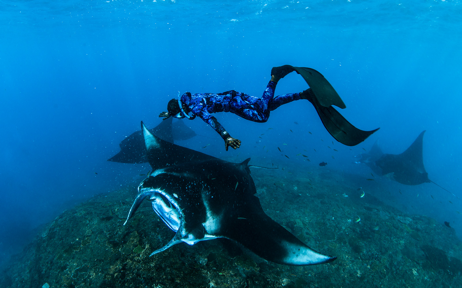 Nusa Lembongan & Manta Bay Snorkeling Day Tour tickets in Bali - Features | TickYourList