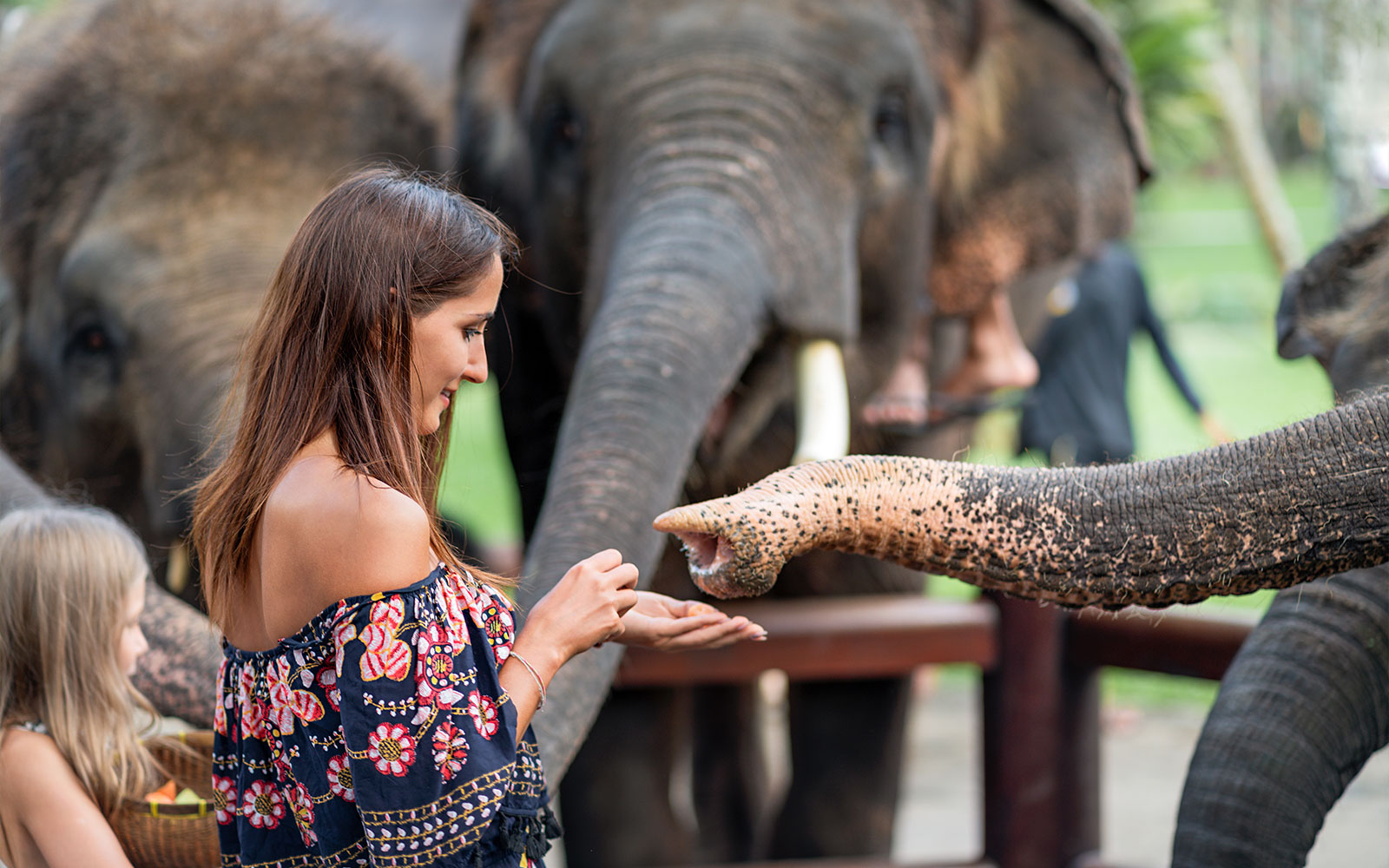 Bali Zoo Tickets with Elephant Feeding & Mud Bath in Bali - Attractions | TickYourList