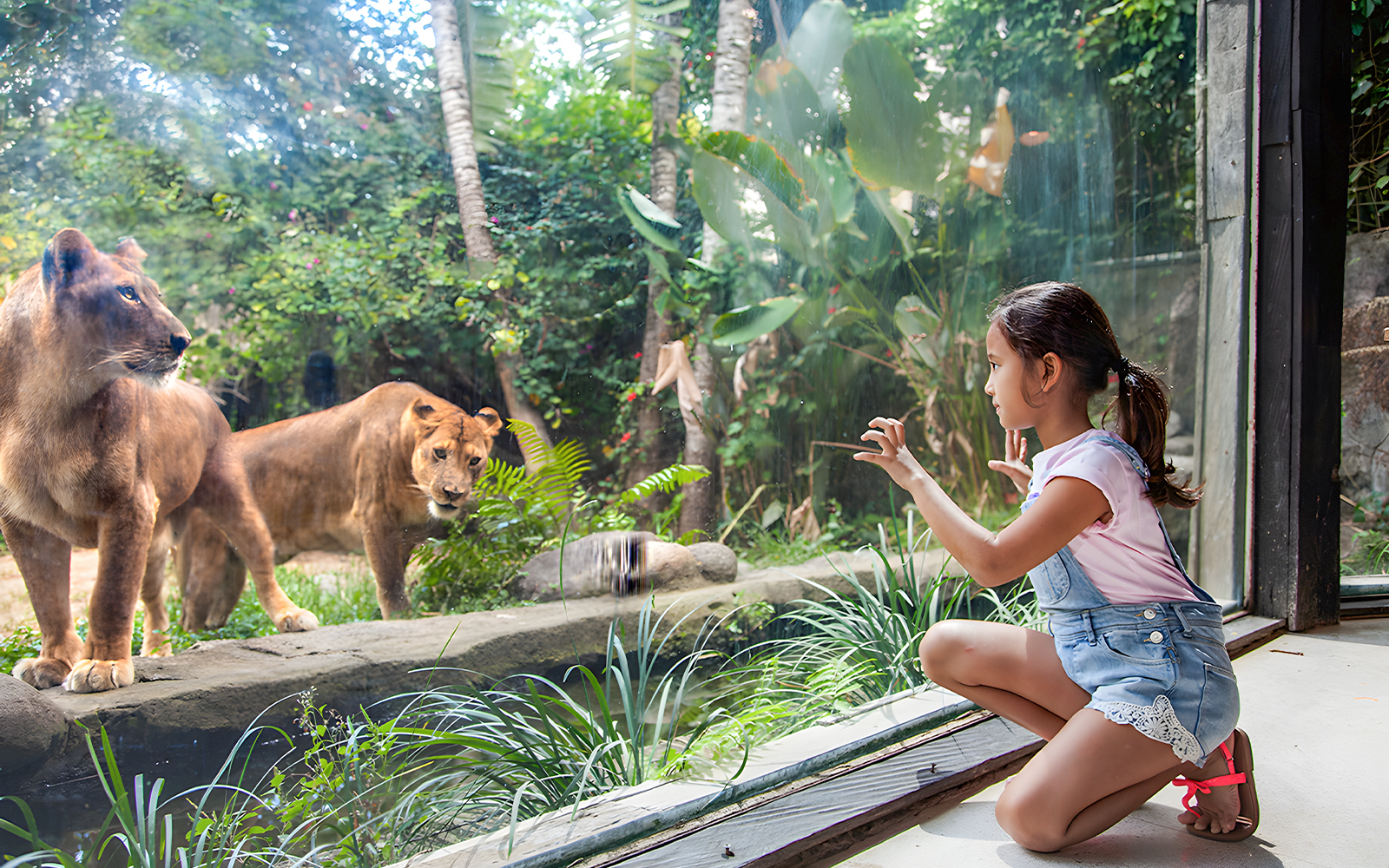 Bali Zoo Tickets with Elephant Feeding & Mud Bath in Bali - Features | TickYourList