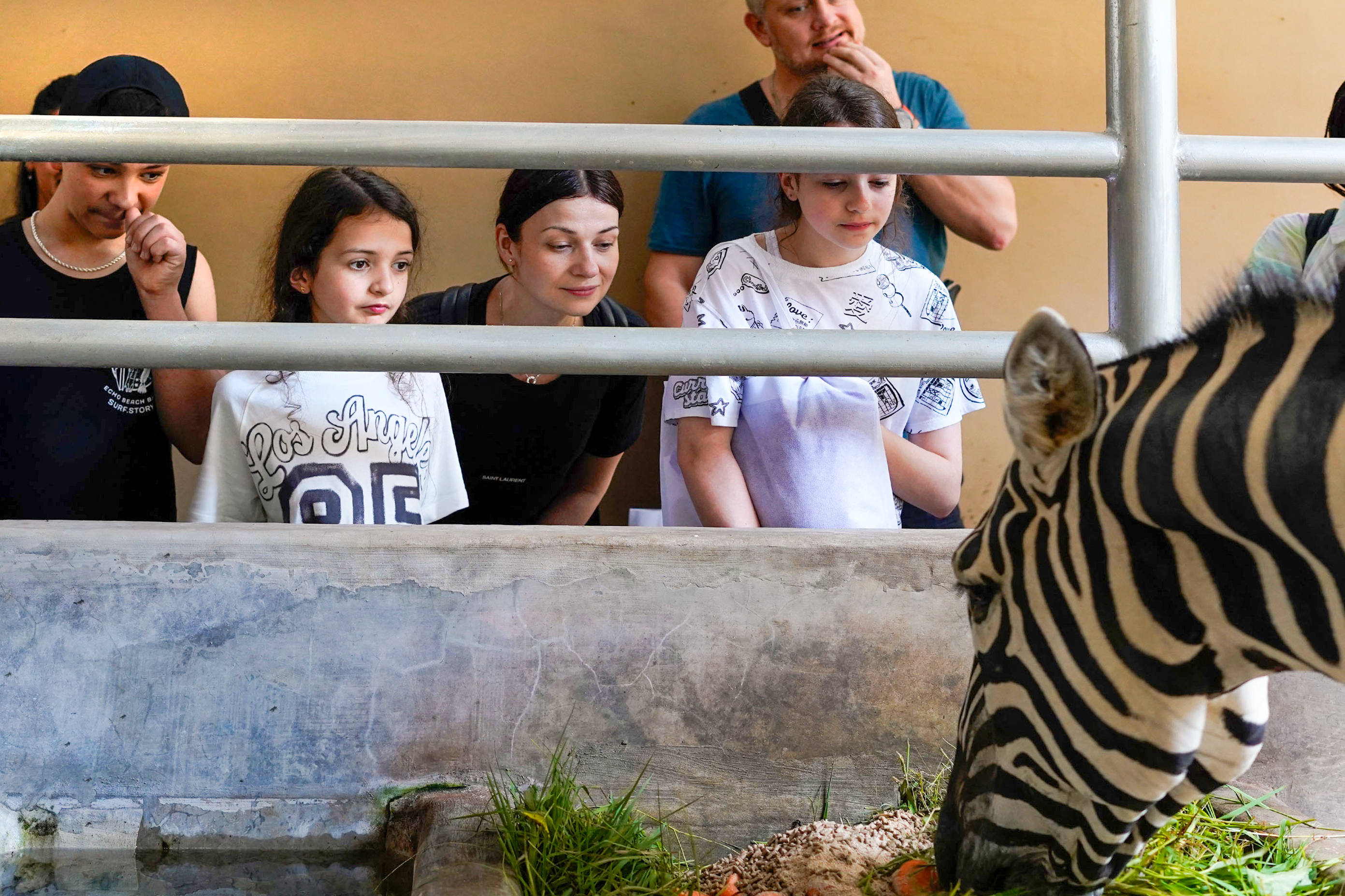 Behind Closed Doors at Bali Zoo tickets in Bali - Attractions | TickYourList
