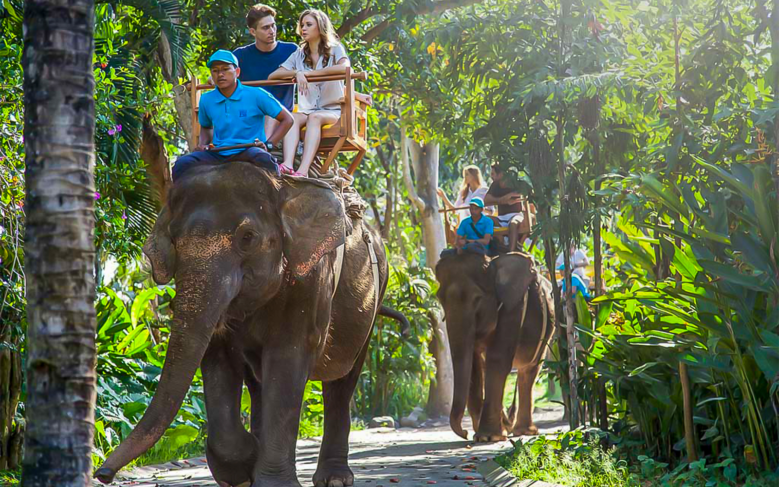 Bali Zoo Tickets with Breakfast with Orangutans & Choice of Elephant Experience in Bali - Activities | TickYourList