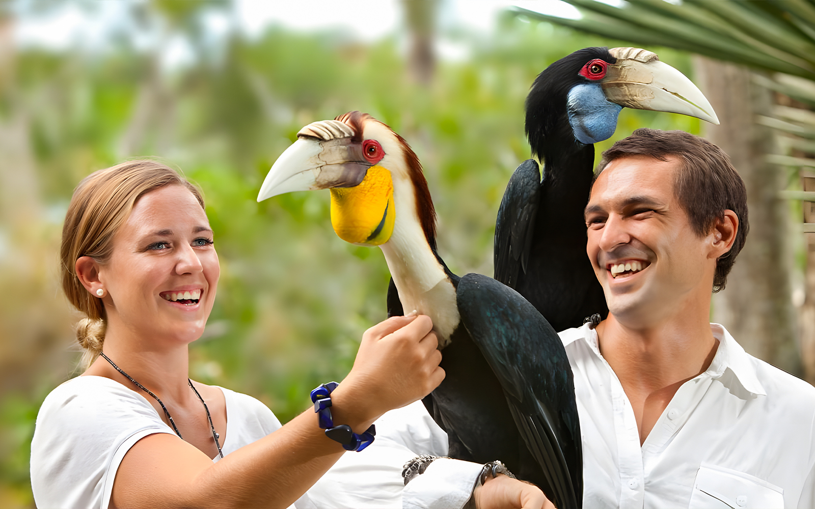 Combo (Save 20%): Bali Bird Park & Bali Reptile Park Tickets in Bali - Attractions | TickYourList
