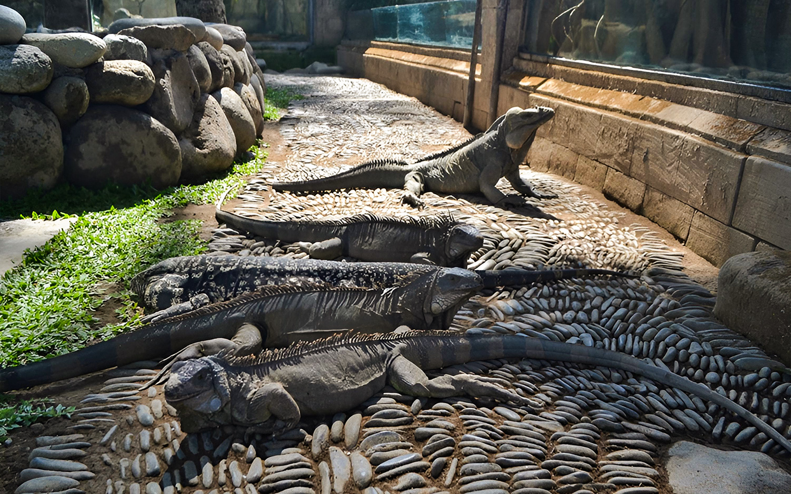 Combo (Save 20%): Bali Bird Park & Bali Reptile Park Tickets in Bali - Features | TickYourList