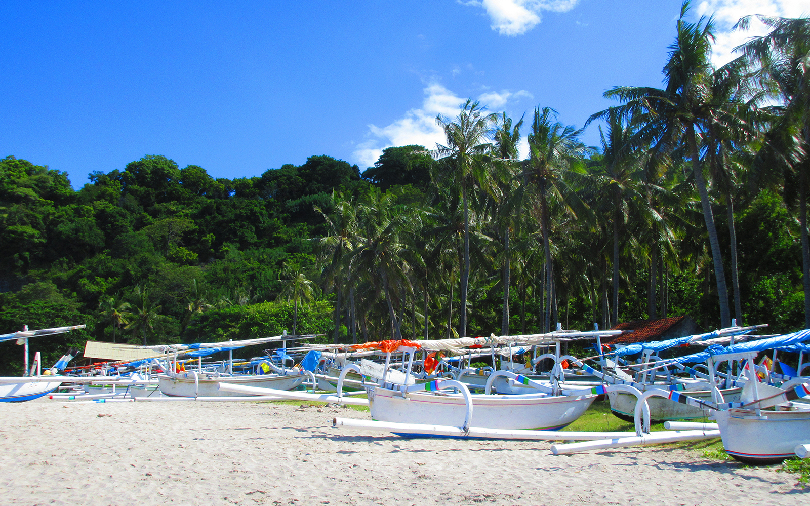 Bali Lovina Sunrise Dolphin Watching & Ulundanu Beratan Temple tickets in Bali - Activities | TickYourList