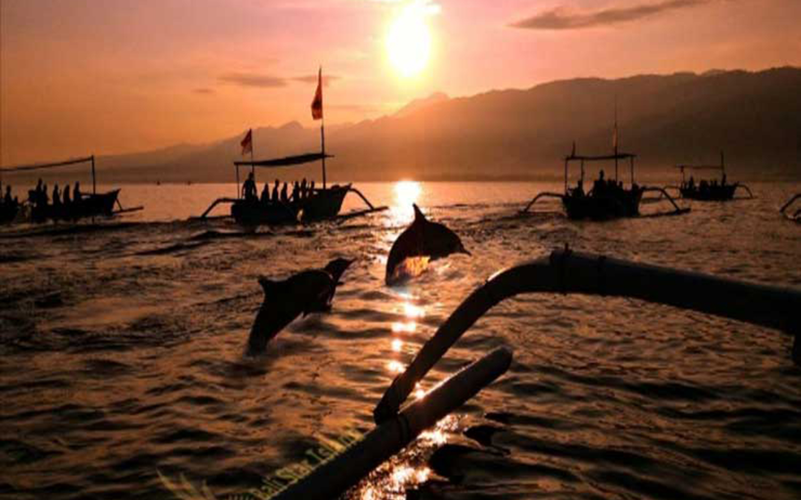 Bali Lovina Sunrise Dolphin Watching & Ulundanu Beratan Temple tickets in Bali - Features | TickYourList