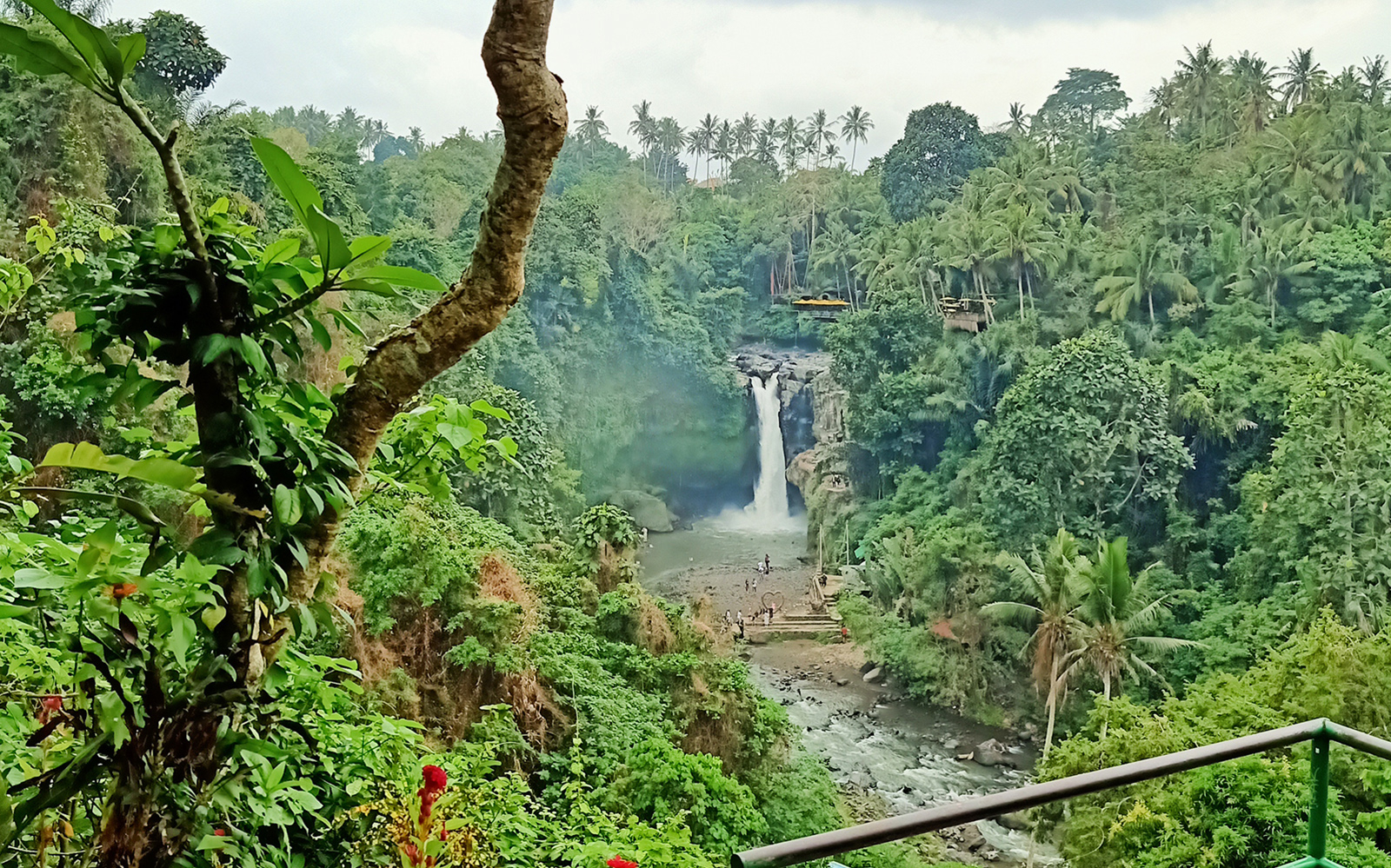 Best Ubud Tour: Monkey forest, Rice Terrace & Waterfall tickets in Bali - Features | TickYourList