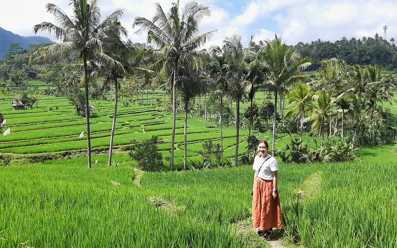 Private Bali Ubud Tour: Tirta Empul, Rice Terrace & Swing tickets in Bali - Activities | TickYourList