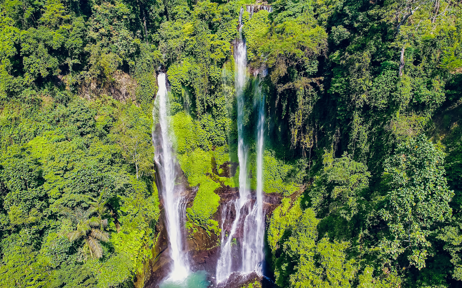 Sekumpul Waterfall & Temple Small-Group Tour: Ulun Danu Bratan, Taman Ayun Temple tickets in Bali - Highlights | TickYourList