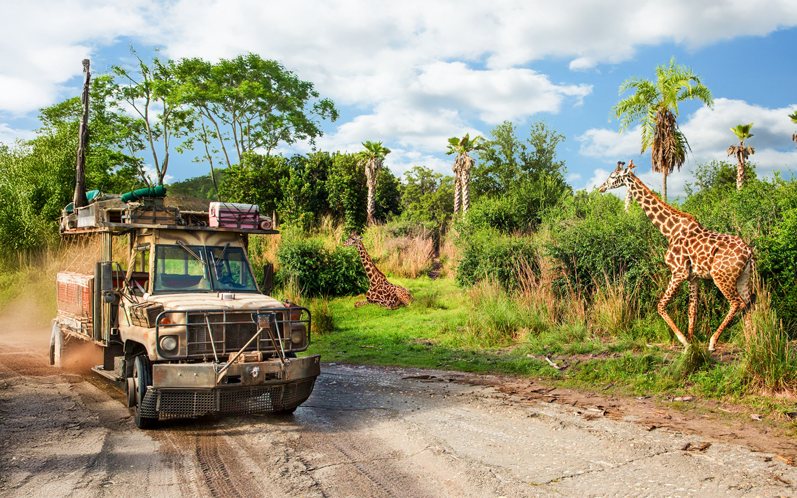 Disney’s Animal Kingdom 1-Day Ticket in Orlando - Features | TickYourList