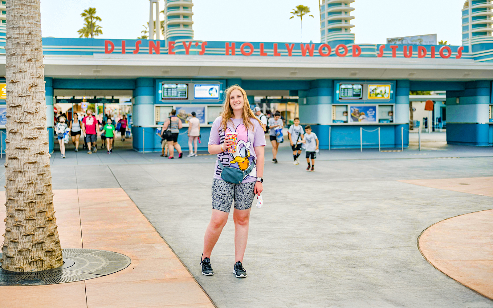 Disney’s Hollywood Studios 1-Day Ticket in Orlando - Highlights | TickYourList