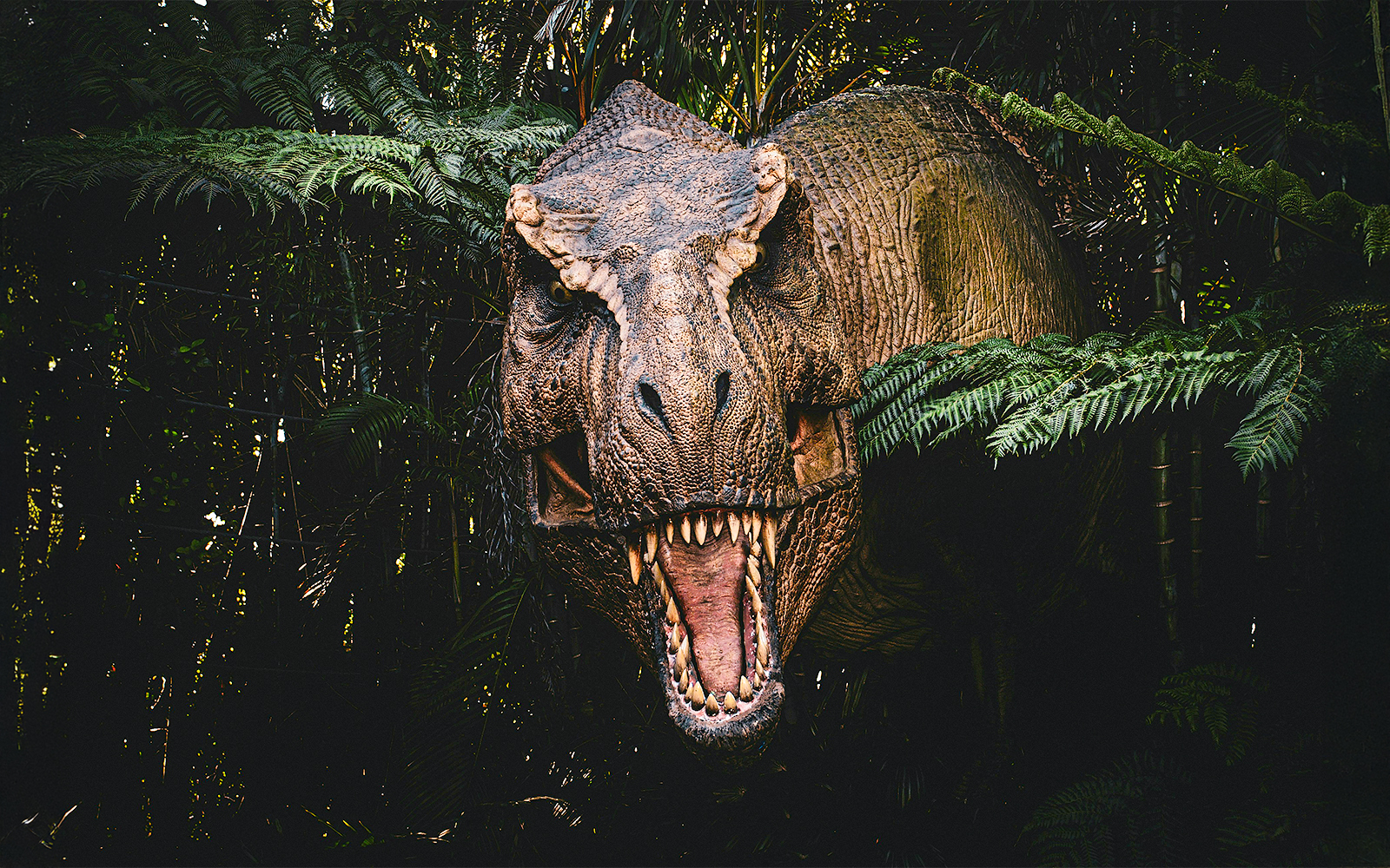 Universal Studios Orlando 2-Day Tickets: Islands of Adventure in Orlando - Features | TickYourList