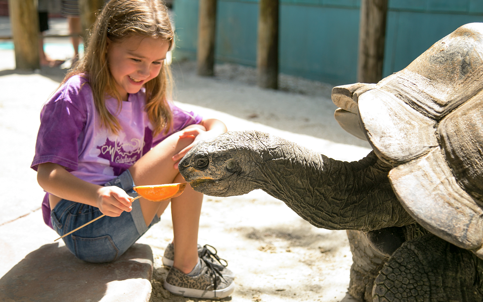 Gatorland Skip-the-Line Tickets in Orlando - Highlights | TickYourList