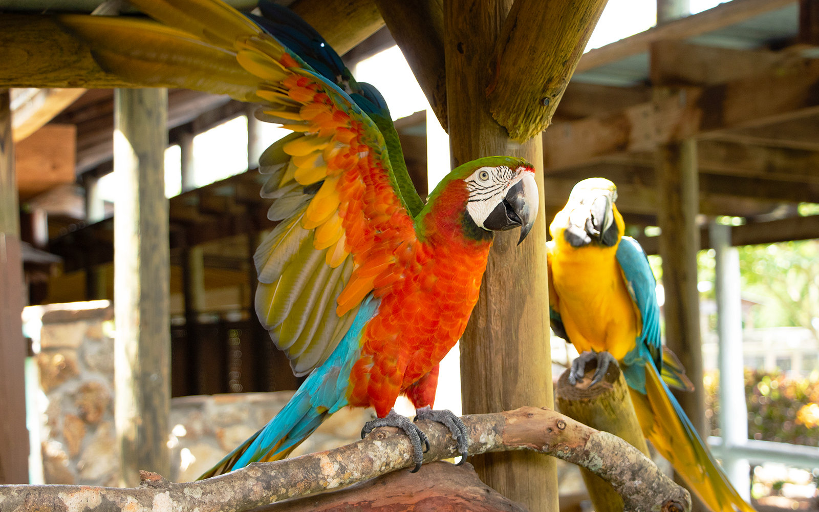 Gatorland Skip-the-Line Tickets in Orlando - Features | TickYourList