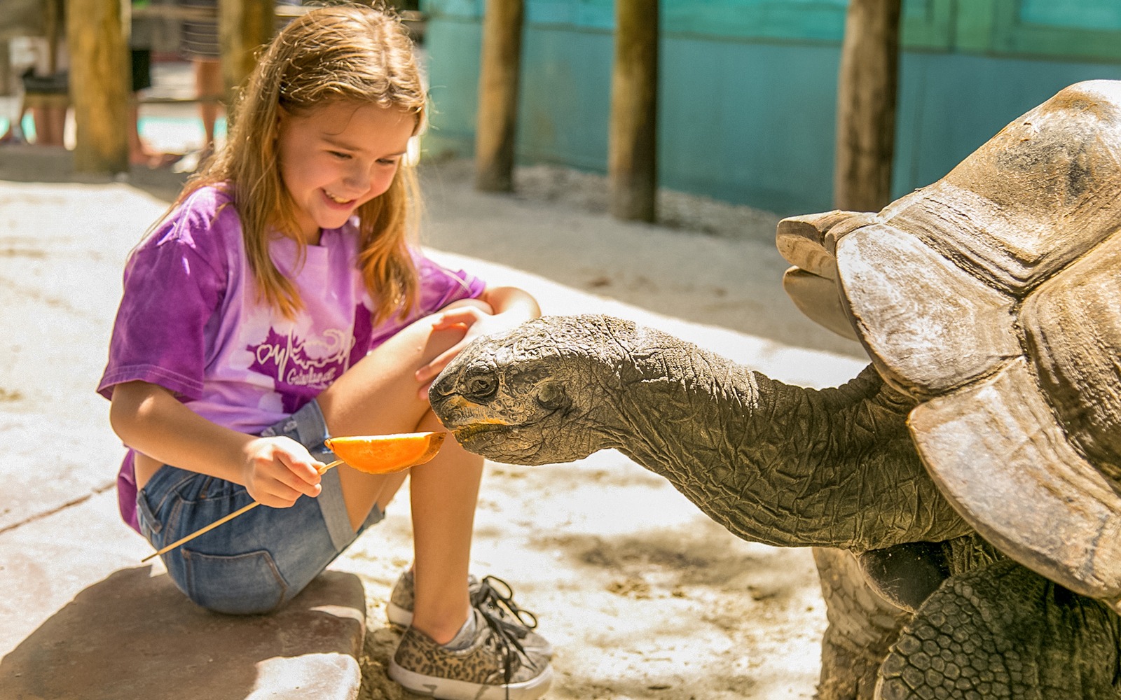 Gatorland Tickets with Screamin’ Gator Zip Line Access in Orlando - Highlights | TickYourList
