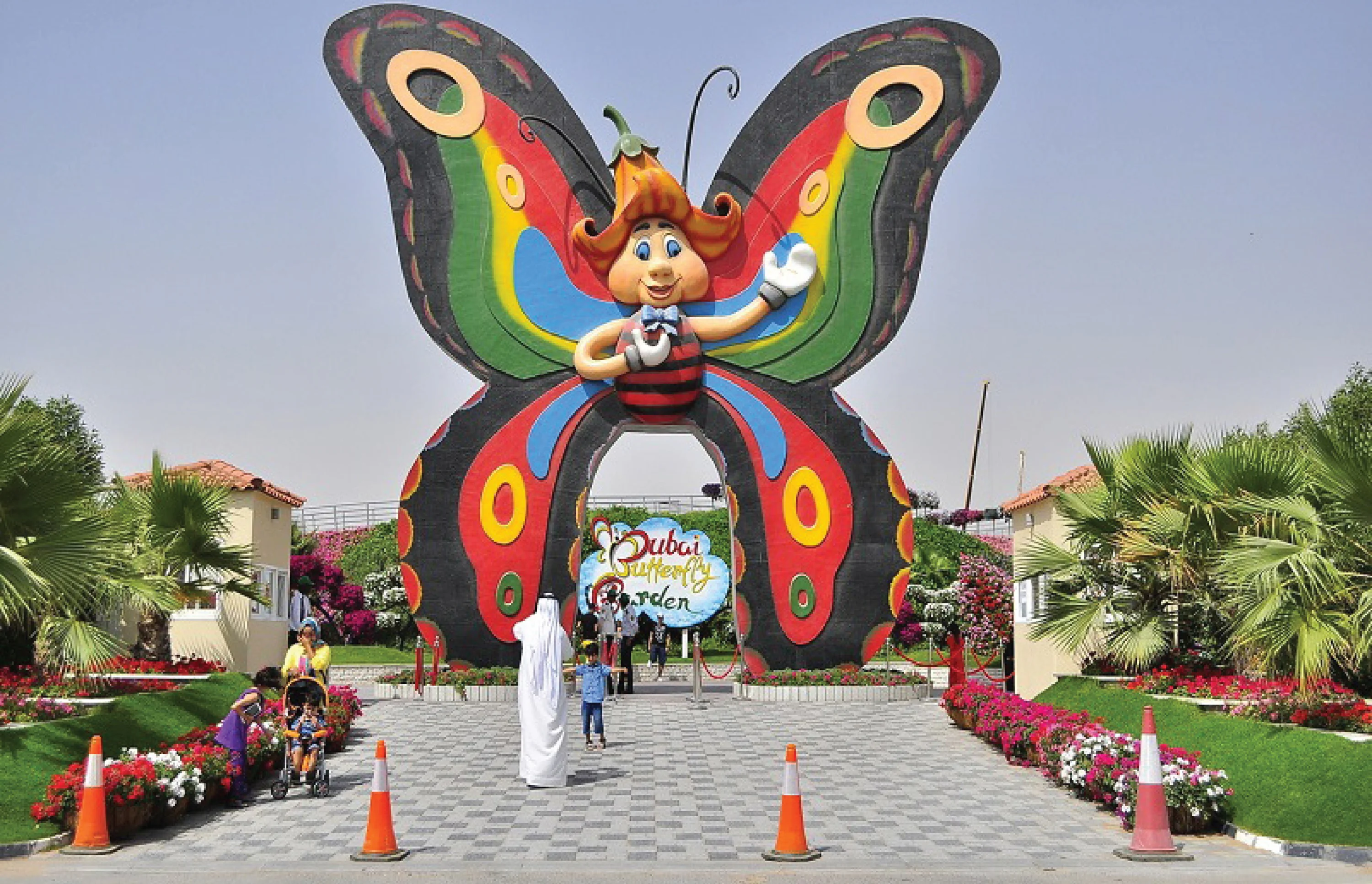 Colorful butterflies at Dubai Butterfly Garden