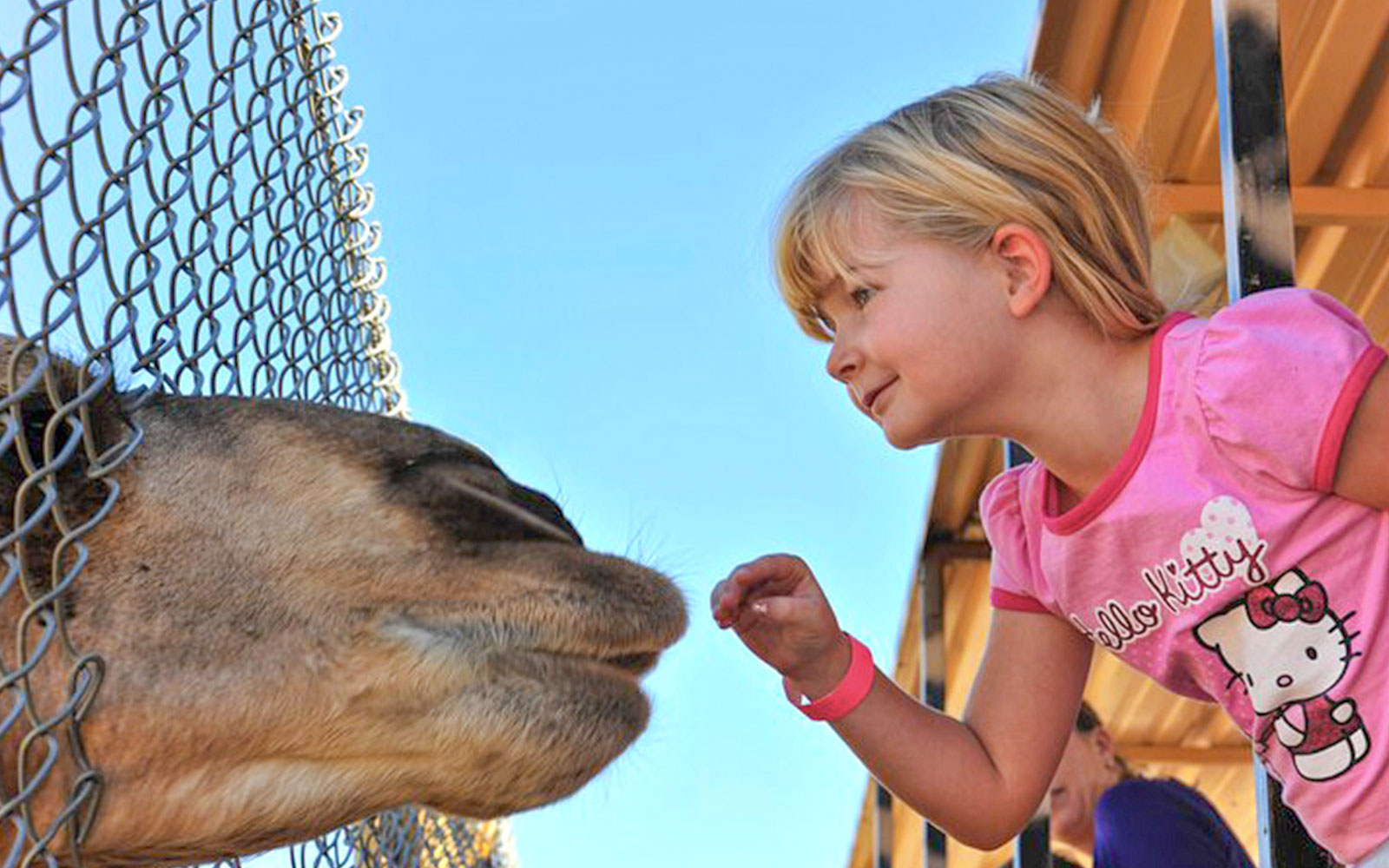 Out of Africa Wildlife Park Tickets