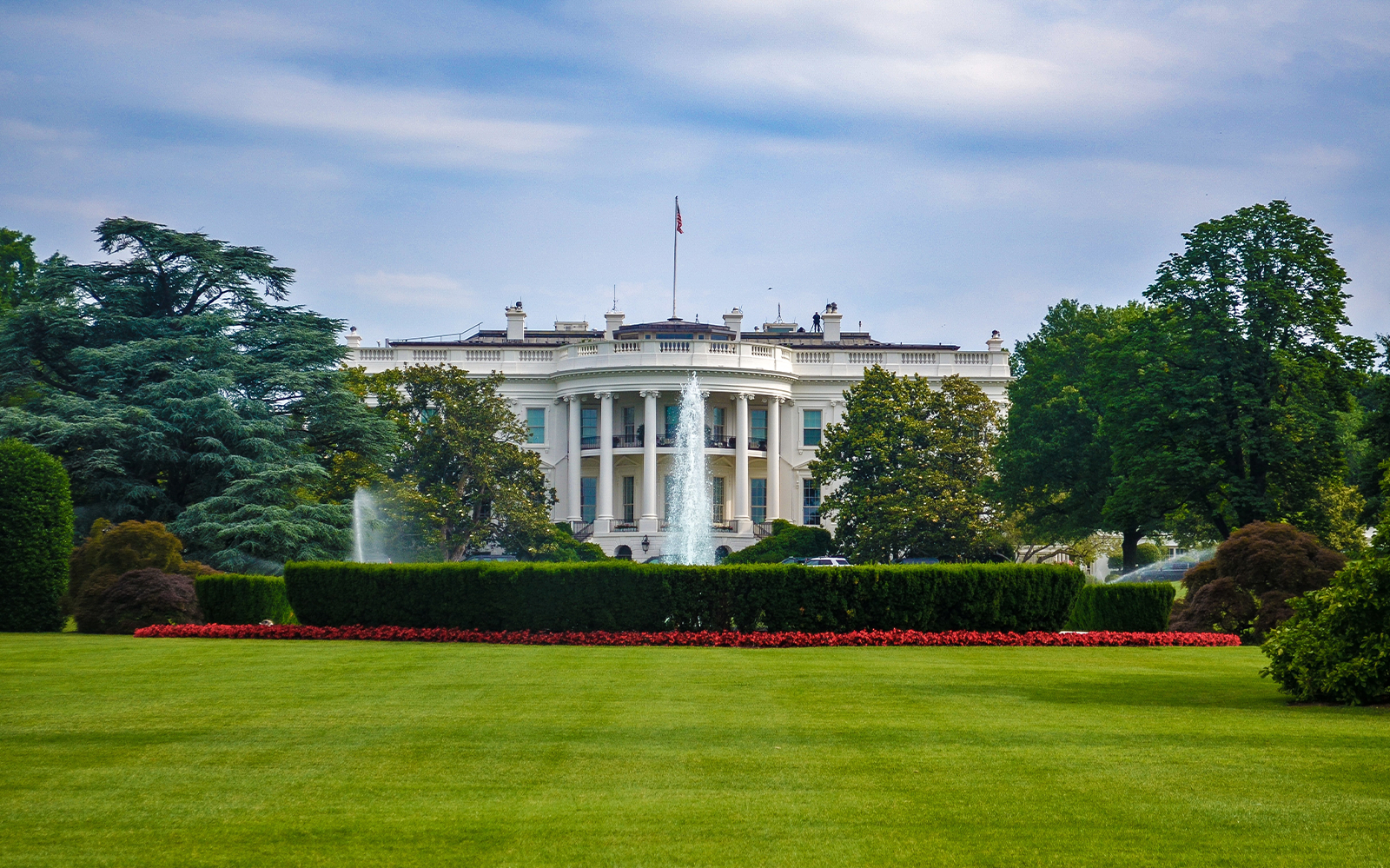 Washington DC - Guided Luxury Bus Tour with Lunch tickets in Washington DC - Highlights | TickYourList