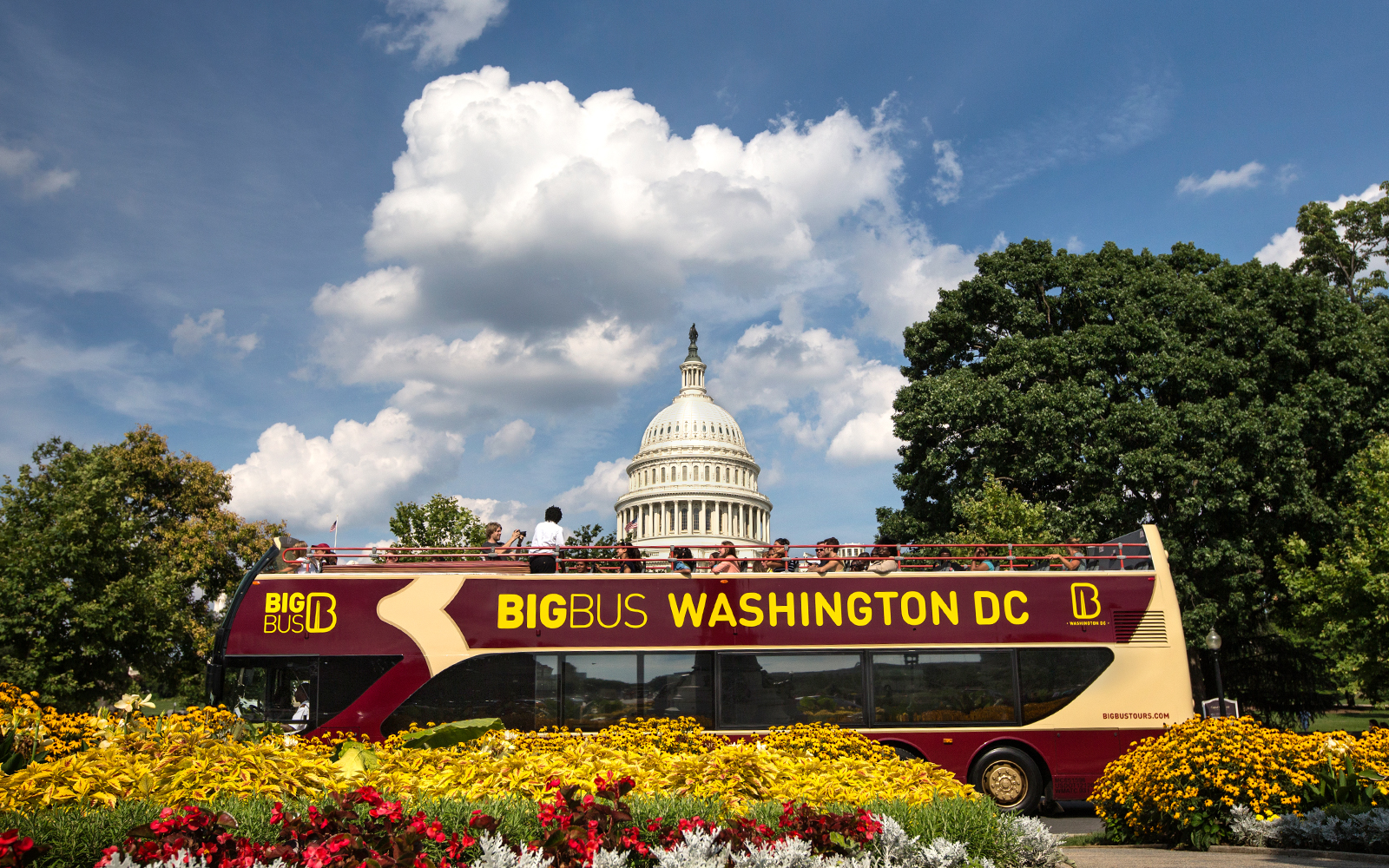 Big Bus: Washington DC Hop-On Hop-Off Bus Tour with Optional Sunset Tour tickets in Washington DC - Activities | TickYourList