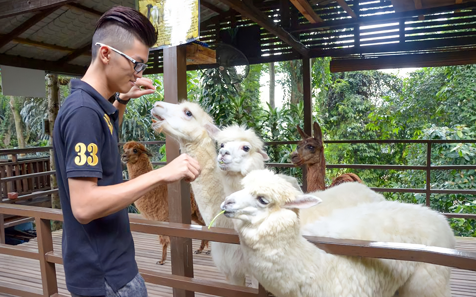 Entry Tickets to Kuala Lumpur Tower Mini Zoo in Kuala Lumpur - Activities | TickYourList