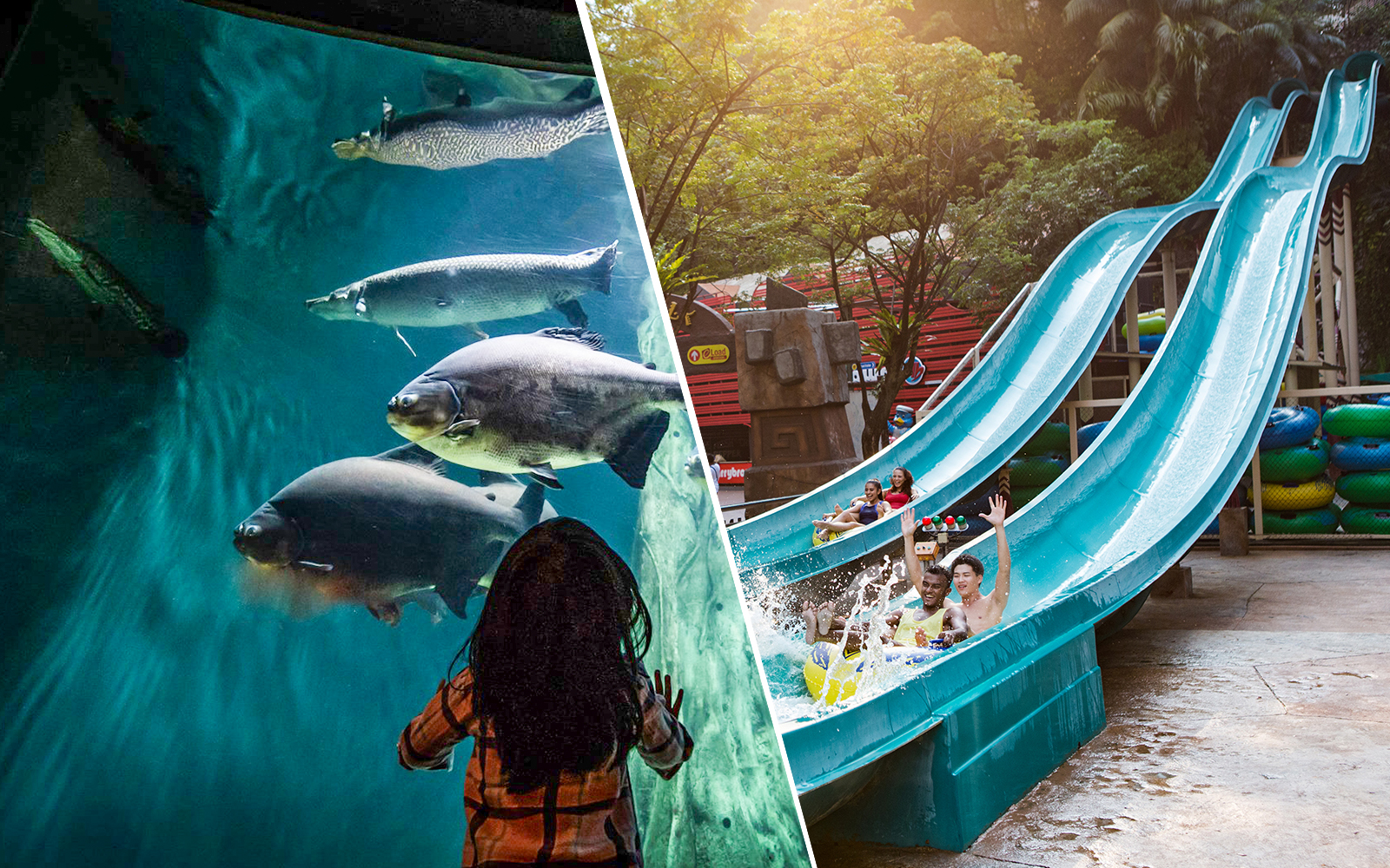 Combo (Save 12%): Aquaria KLCC + Sunway Lagoon Tickets
