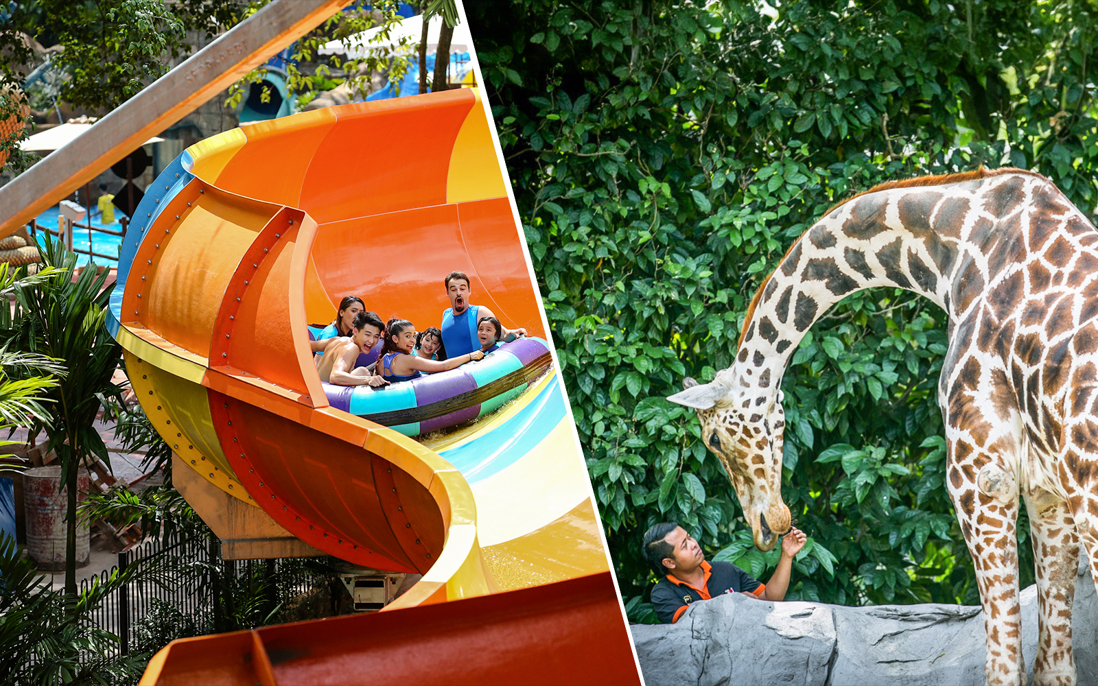 Combo (Save 14%) : Sunway Lagoon Theme Park Tickets + Zoo Negara Tickets
