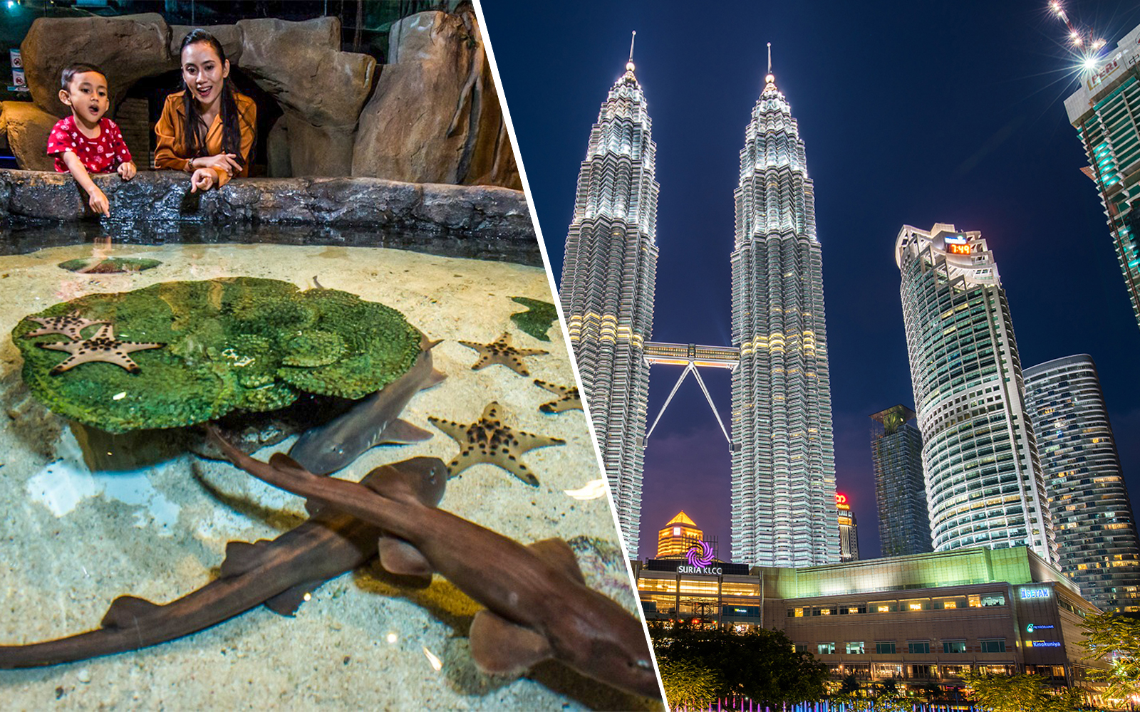 Combo (Save 9%): Aquaria KLCC + Petronas Twin Towers Tickets
