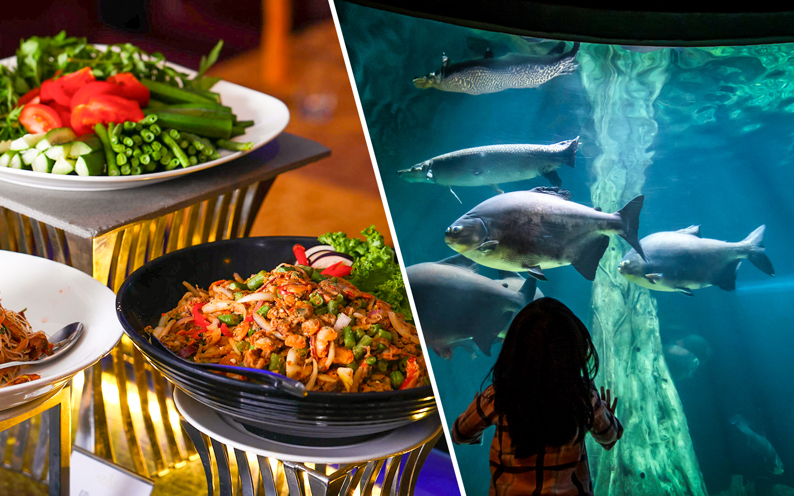 Combo (Save 7%): Dinner Buffet at ORBIT in KL Tower + Aquaria KLCC Tickets experience in Kuala Lumpur | TickYourList