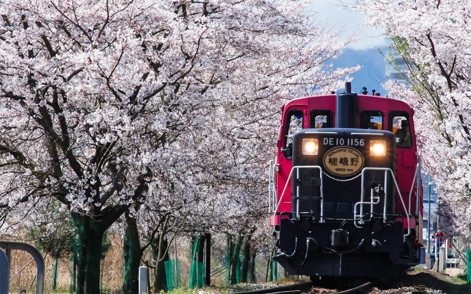 Sagano Romantic Train Ticket: Saga to/from Kameoka in Kyoto - Features | TickYourList