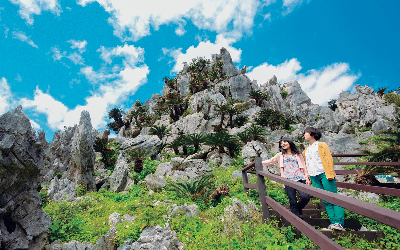 Okinawa Hip Hop Bus Tour: Okinawa Rail Ecology Center, Daisekirinzan & Yambaru National Park